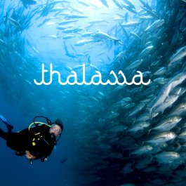 Thalassa